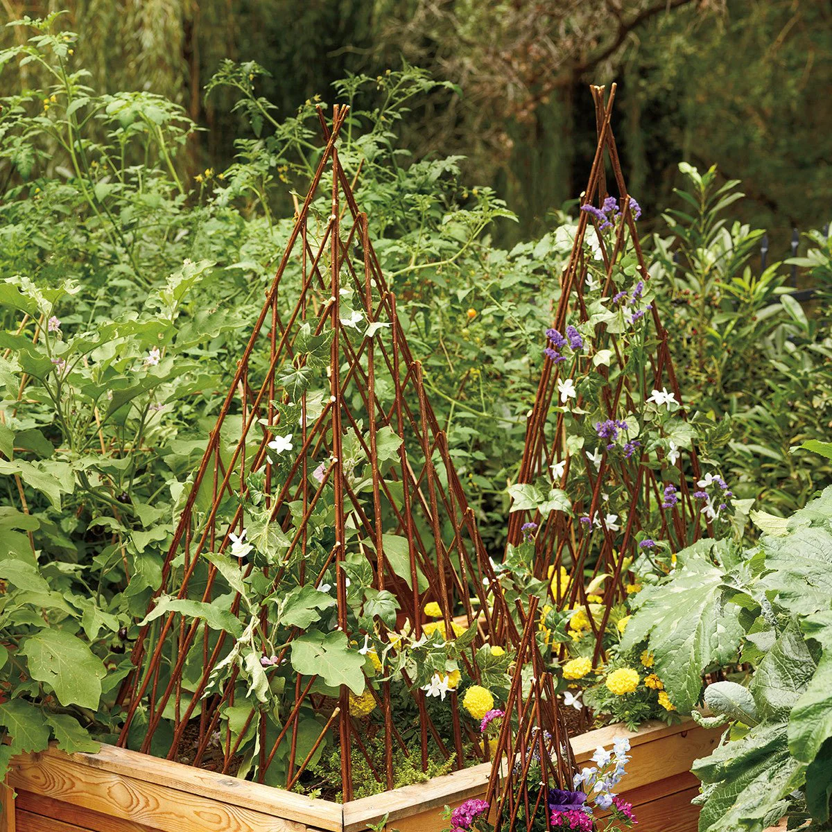 Willow Garden Pyramid Trellis - Image 4